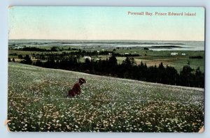 Prince Edward Island Canada Postcard Pownall Bay 1909 Posted Antique