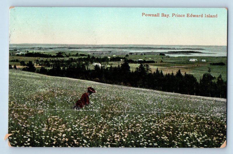 Prince Edward Island Canada Postcard Pownall Bay 1909 Posted Antique