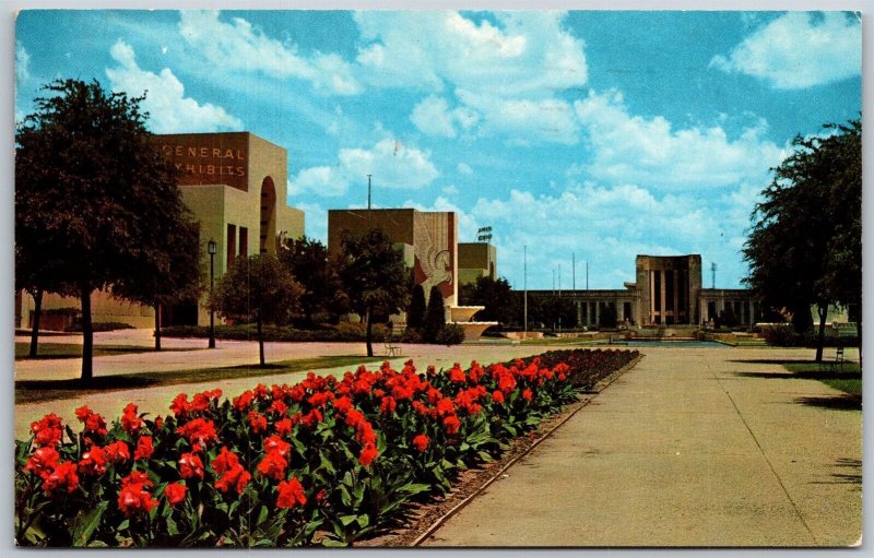 Vtg Dallas Texas TX Canna Beds State Fair Grounds 1960s View Postcard