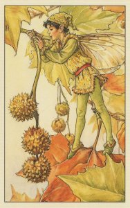 Plane Tree Fairy Old WW2 Flower Fairies of The Trees Book Postcard