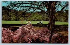 Postcard GA Pine Mountain Callaway Gardens Golf Course Vintage Golf Carts N14