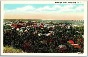 Birds Eye View Valley City North Dakoda ND Panorama Buildings Grounds Postcard