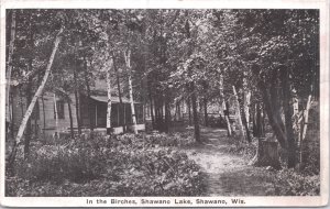 Shawano Wisconsin In the Birches Shawano Lake 