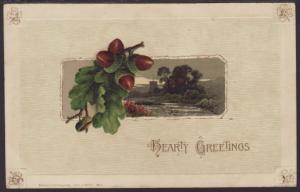 Hearty Greetings,Acorns,Scene Postcard