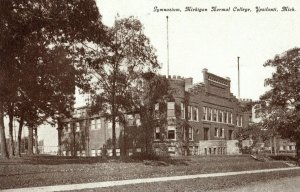 Vintage Post Card Gymnasium Michigan Normal College Ypsilanti, Mich. G2