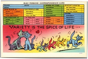Postcard Busy Person Variety is thhe spice of life - cats
