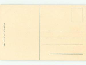 Divided-Back NICE VIEW Napoli - Naples Italy i4952