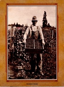 Oregon Eugene Lane County Museum The Berry Picker 1985