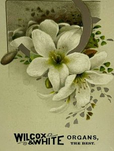 1893 Wilcox White Organ Piano Meriden Connecticut White Flower Lily Trade Card