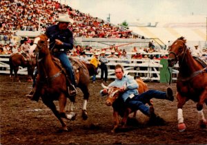 Canada Calgary Stampede and Exhibition Rodeo Scene Calf Roping