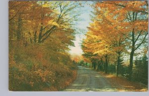 Fall Colours, Road Scene, Dorset, Lake Of Bays Muskoka Ontario, Vintage Postcard