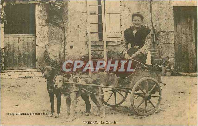 COPY Thenay Courier Car has dogs