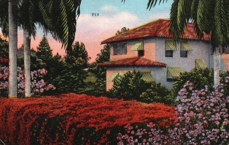 Florida FL, 1955 Flame Vine Bougainvillea , Spanish Type Home, Vintage Postcard