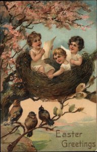 PFB 8294 Easter Fantasy Little Girls in Bird's Nest Singing c1910 Postcard