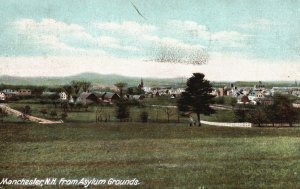 Vintage Postcard 1910's Asylum Grounds Trees Houses Manchester New Hampshire NH