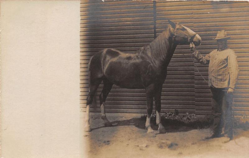 F9/ Occupational Real Photo RPPC Postcard c1910 Horse Breeder Farmer 16