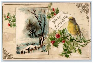 Christmas Song Bird Holly Berries Winter Winsch Back Saint Joseph MI Postcard