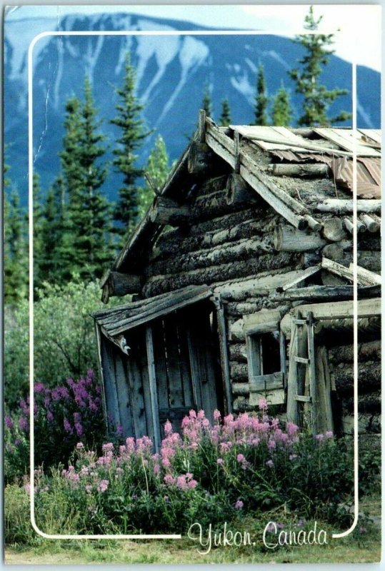 Postcard - Old Yukon cabins, surrounded by Fireweed, Kluane Lake - Canada 