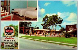 Cadillac Motel Tamiami Trail Sarasota Florida FL Swimming Pool Rooms Postcard