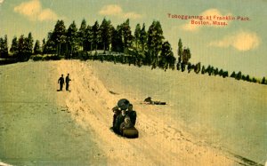 MA - Boston. Franklin Park, Tobogganing