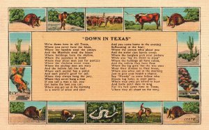 Vintage Postcard Down In Texas Animals In The Wild Desert Cactus Poem