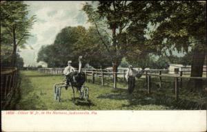 Jacksonville FL Oliver W. Jr. Ostrich Riding c1905 Postcard