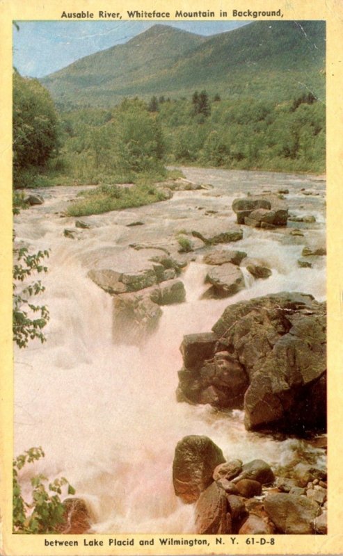 New York Adirondacks Ausable River Between Lake Placid and Wilmington 1952 De...