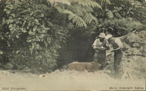 australia, Gold Diggers, Prospectors (1900s) Postcard