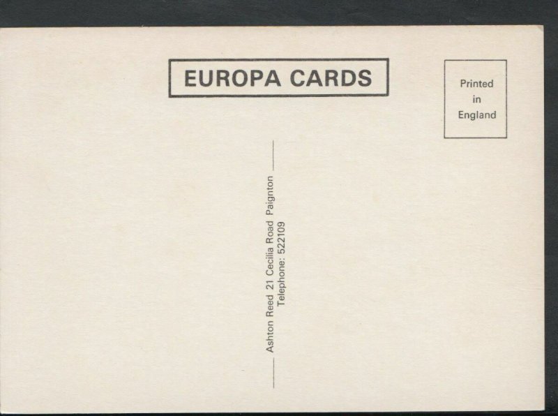 Devon Postcard - Tor Bay From Paignton Harbour        T1261