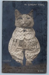 c1905 In Sunday Togs Cat Kitten Dress Up Studio RPPC Photo Antique Postcard