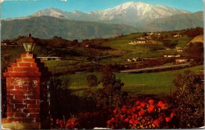 Old Baldy Winter Southern California Mountains Postcard PM Santa Monica CA Clean 