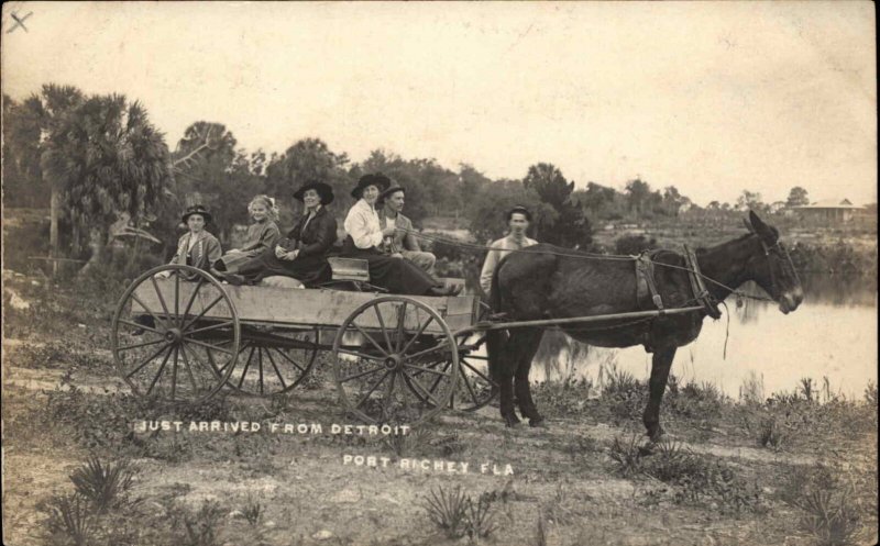 Port Richey Pasco County FL Horse Carriage From Detroit Real Photo Postcard