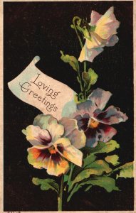 Vintage Postcard 1905 Loving Greetings Pansies Large Print Bouquet Souvenir