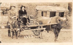 Hot Springs Arkansas Happy Hollow Cow Cart Donkey Real Photo PC AA69763