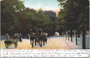 Netherlands Scheveningen Prins Willemstraat Vintage Postcard 04.96