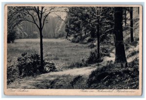 c1920's View of Lot in Kukanstal Kantorniese Bad Sachsa Germany Postcard 