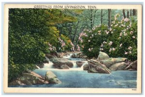 1960 Greetings From River Lake Falls Rocks Livingston Tennessee Vintage Postcard