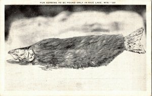 Fur Herring to be Found Only in Rice Lake WI Fish with Fur Vintage Postcard E72