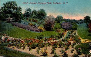 New York Rochester Highland Park Rosebed 1912