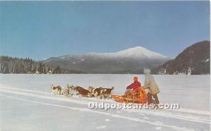 Husky Dog Team Alaksa, AK, USA Sleigh Riding Unused 