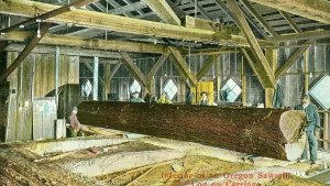 Postcard Early View of Interior of an Oregon Saw Mill.             P5