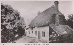 Shop In The Orchard Village Cafe Barley Hertfordshire Antique RPC Photo Postcard