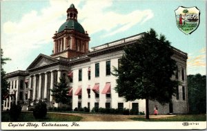 Vtg Tallahassee Florida FL Capitol Building 1910s Unused Postcard