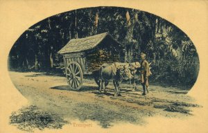 PC CPA TRANSPORT, WOODEN CART, INDONESIA, VINTAGE POSTCARD (b6119)