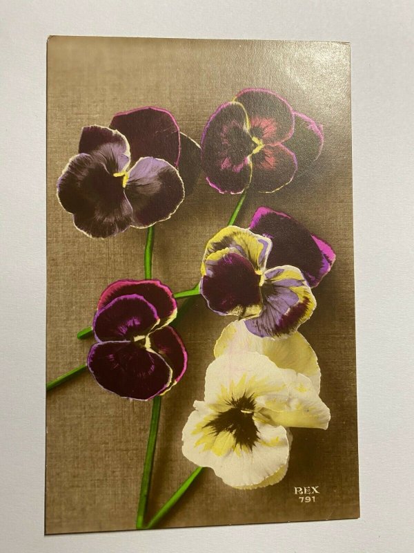 USED 1919 VINTAGE GREETINGS POSTCARD - PANSIES FLOWERS (KK369)