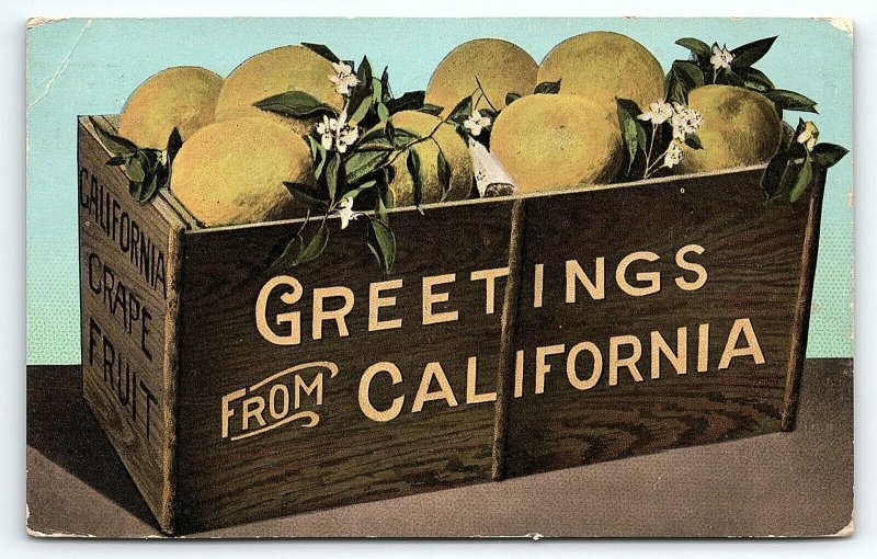 1915 CALIFORNIA GRAPE FRUIT BOX PANAMA-PACIFIC EXPOSITION POSTCARD P3534