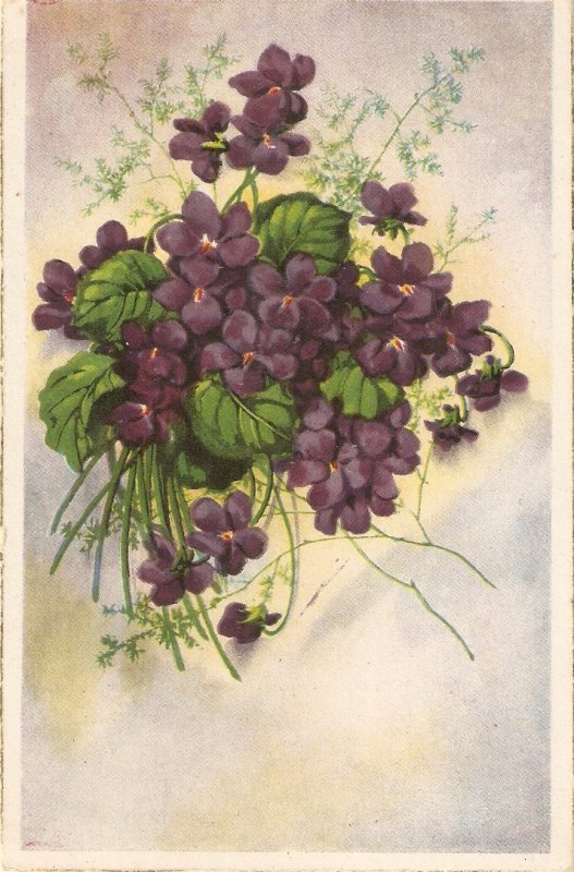 Beautiful flowers Nice vintage Spanish postcard