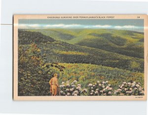 Postcard Checkered Sunshine Over Black Forest Pennsylvania USA