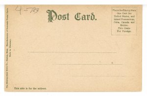 MA - Middlesex Fells. Feeding Ducks in the Park