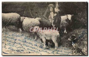 Old Postcard Auvergne Gardeuse sheep (costume headdress folklore)